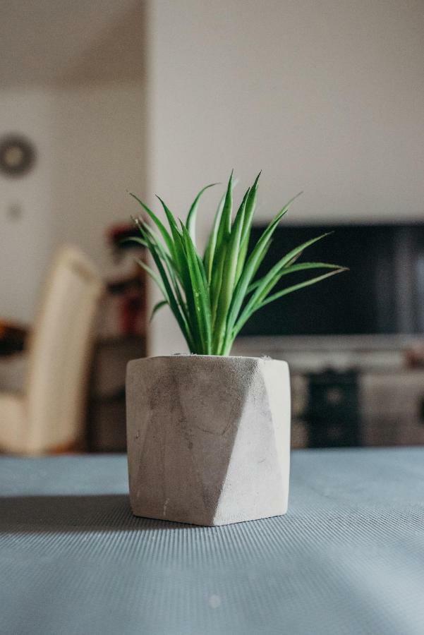 Apartman "Joka" Ðakovo Esterno foto
