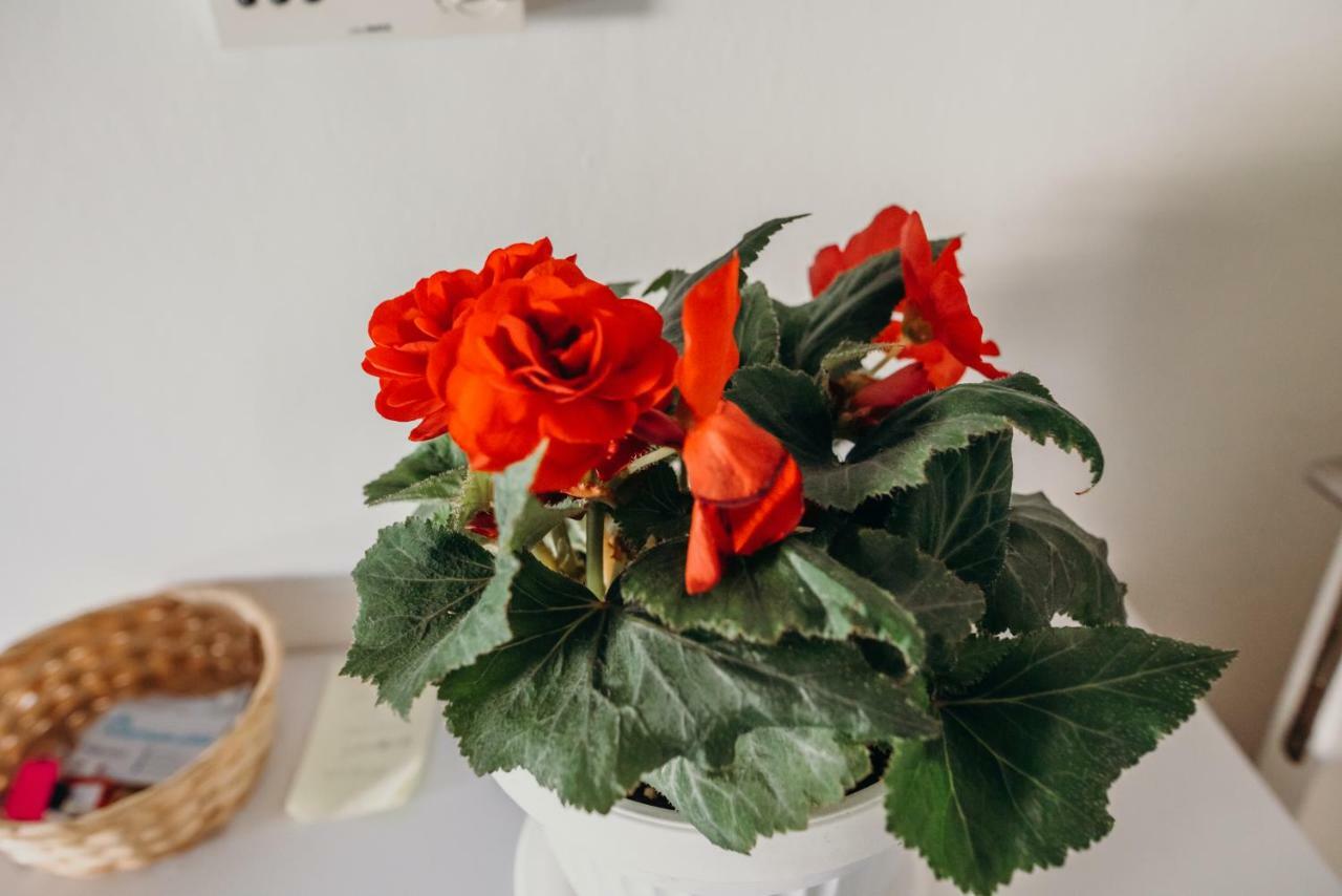 Apartman "Joka" Ðakovo Esterno foto